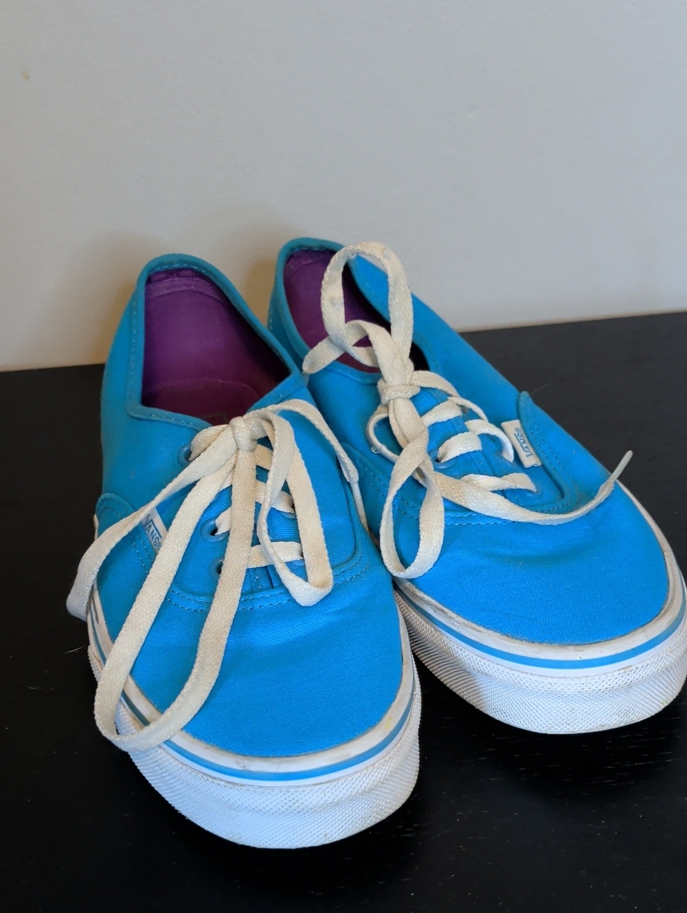 Vans Women's Blue Canvas Low-Top Sneakers